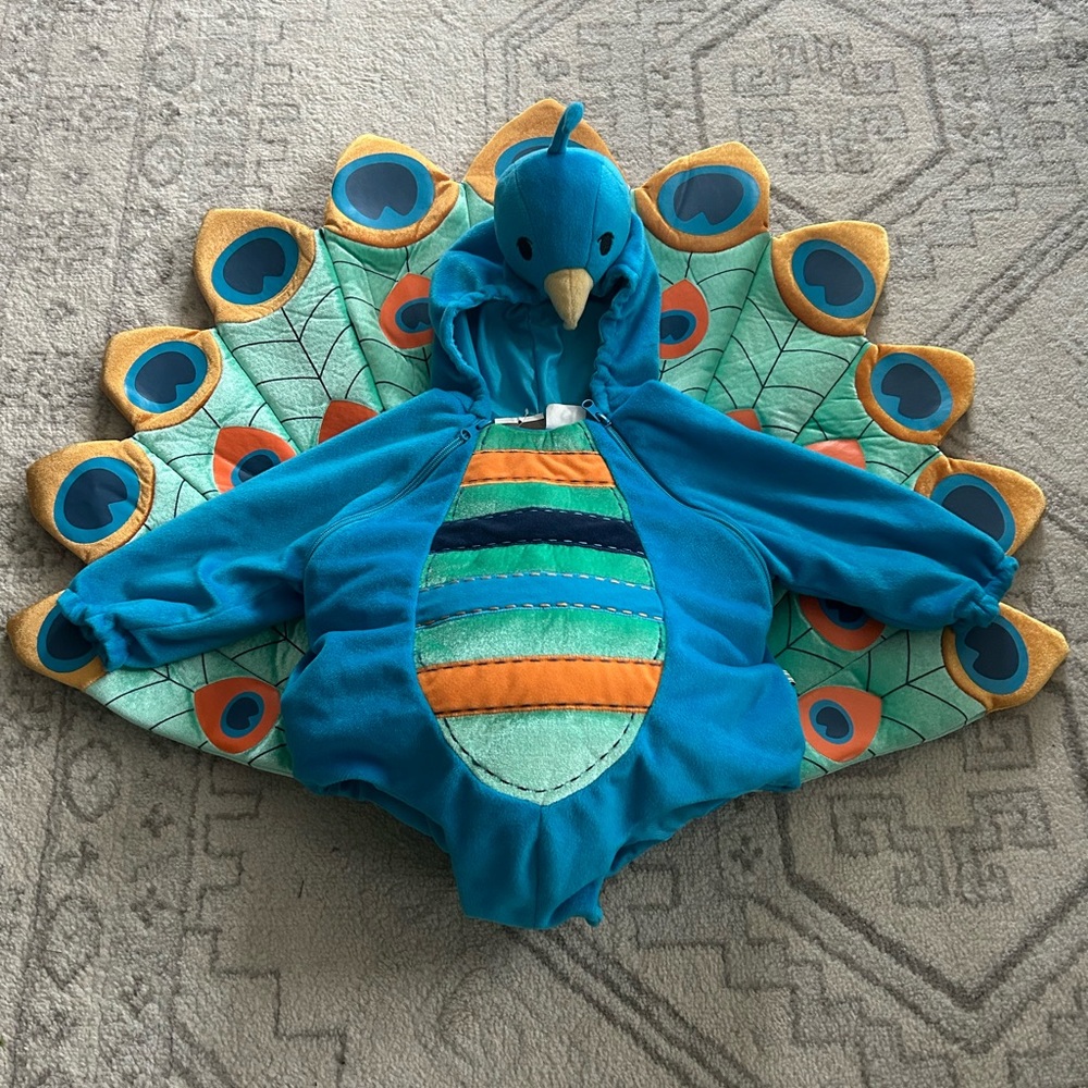 Peacock Halloween Costume for Baby 6-12months orange tights from Gymboree.